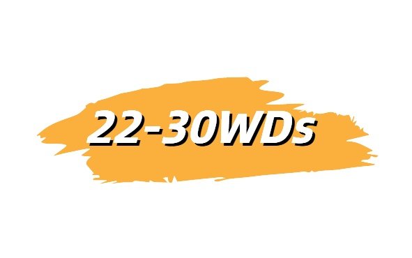 22-30WDs